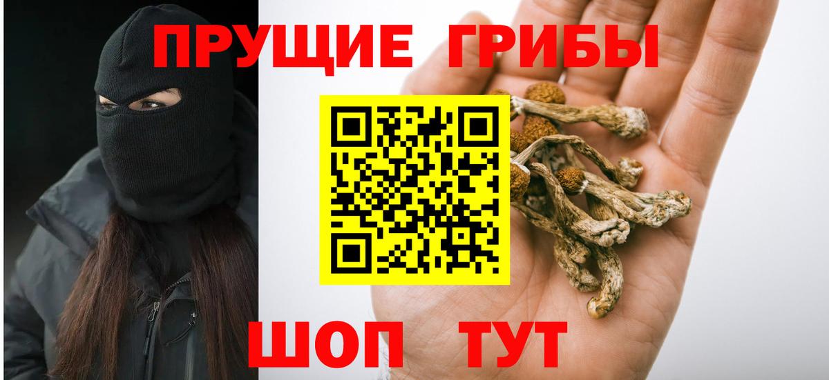 Псилоцибиновые грибы ЛСД Сухой Лог